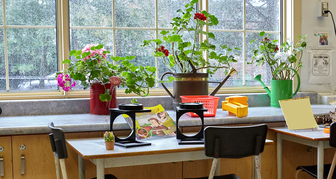 Magnifying lenses sit on a desk in front of a window ledge with potted flowers.