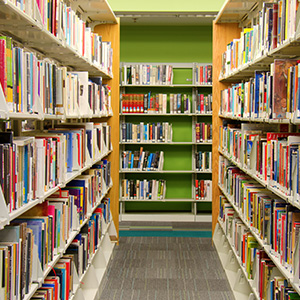 Des rangées de livres colorés dans la bibliothèque d’une école.