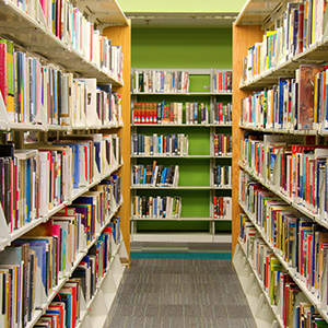 Colourful books fill the shelves in a school library.